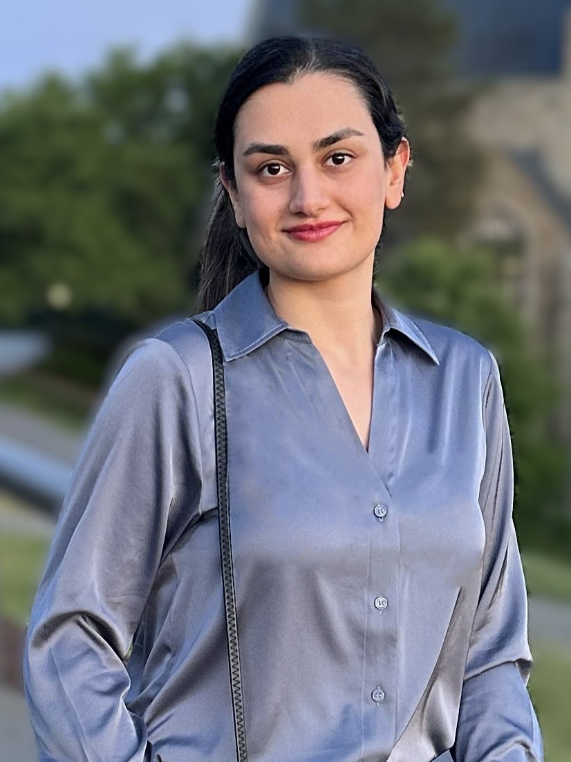<strong>Sajedeh Keshmiri</strong><br> <em>Arizona State University</em>